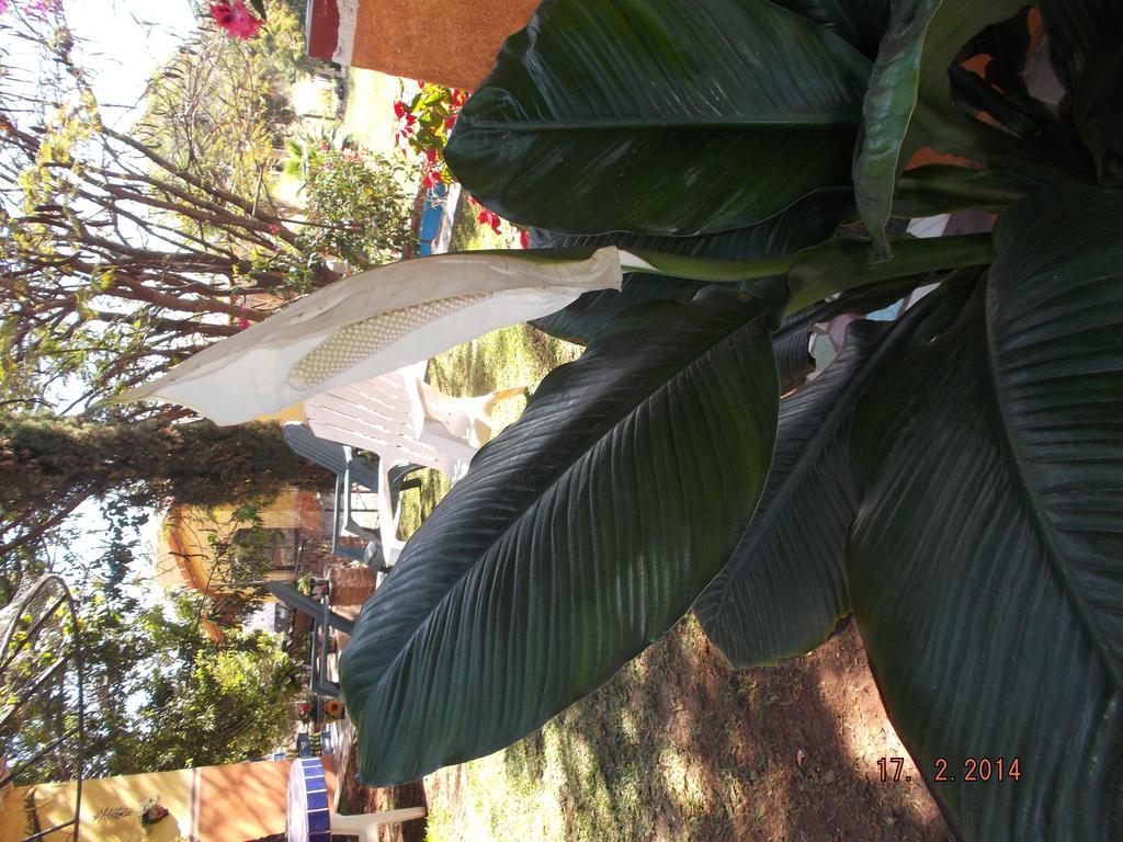 Charlys-Bungalows Hotell Margaritas Rom bilde